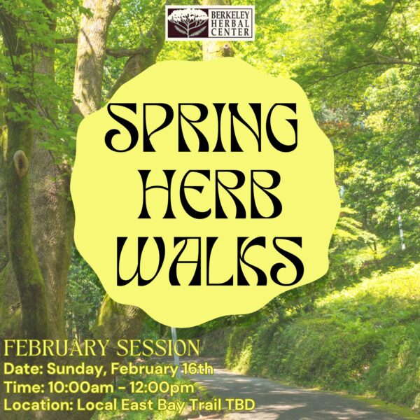 Spring Herb Walk - February Session