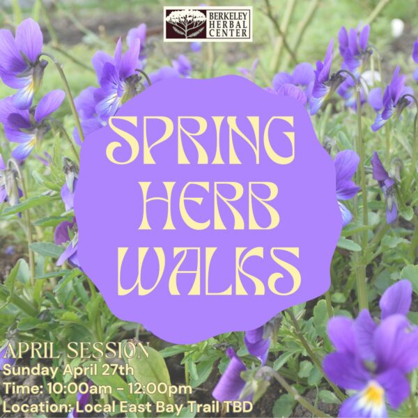 Spring Herb Walk – April Session