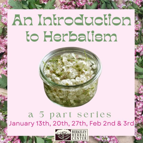 An Introduction to Herbalism