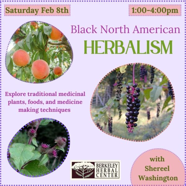 Black North American Herbalism