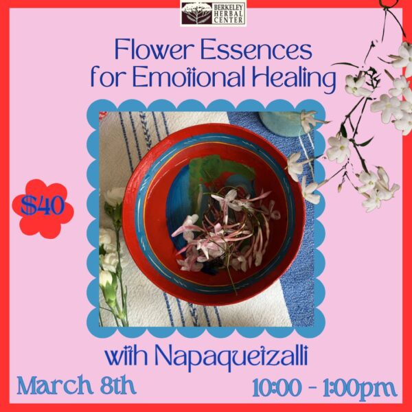 Flower Essences for Emotional Healing with Napaquetzalli