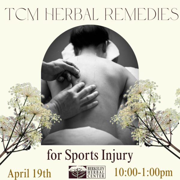 TCM Herbal Remedies for Sports Injury